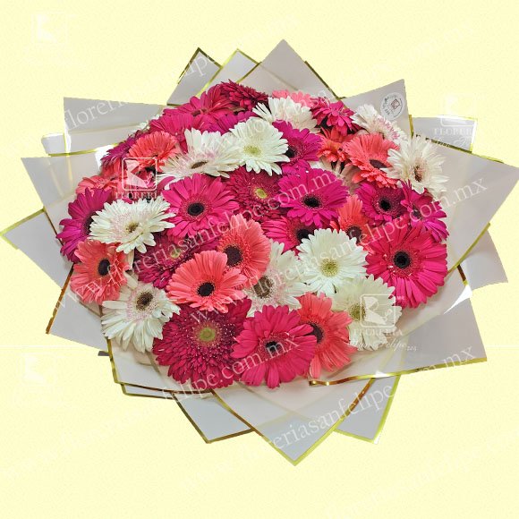 Bouquet 15 - 50 Gerberas